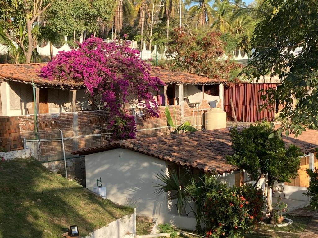 ホテル Casa De La Gente Nube プエルト・エスコンディード エクステリア 写真